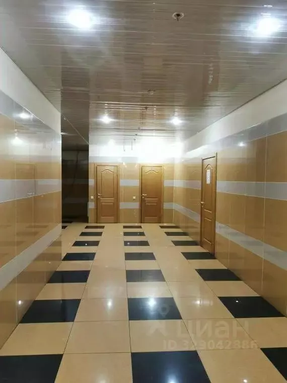 Офис в Санкт-Петербург ул. Коли Томчака, 28Р (50 м) - Фото 2