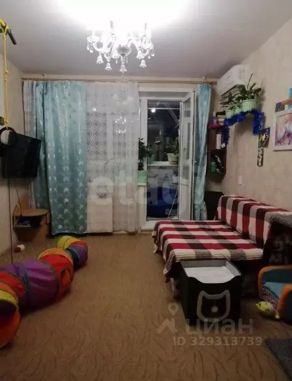 1-к кв. Курганская область, Курган Заозерный жилрайон, 5-й мкр, 1 ... - Фото 1