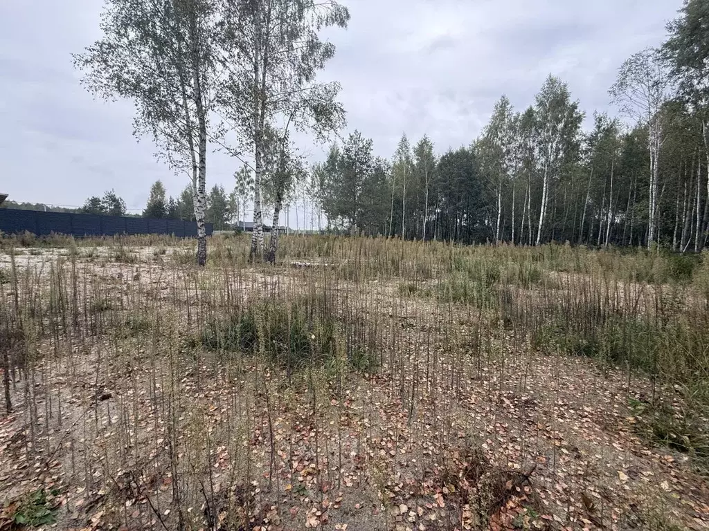 Участок в Брянская область, Брянский район, Мичуринское с/пос, Заря ... - Фото 1