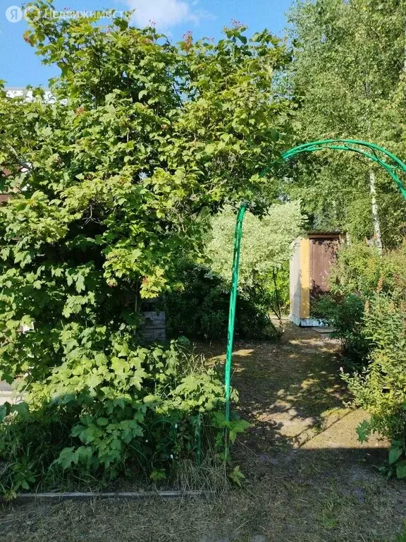 Дом в Ярославская область, Угличский муниципальный округ, деревня ... - Фото 2