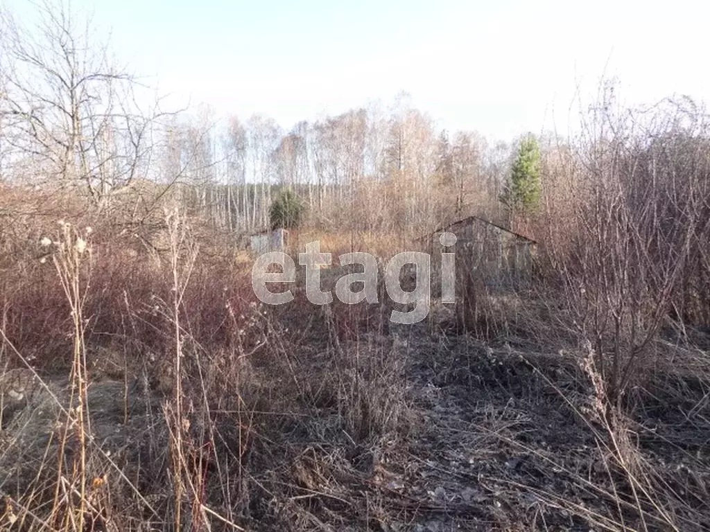 Дом в Челябинская область, Кыштым Дальняя Дача СНТ,  (26 м) - Фото 1