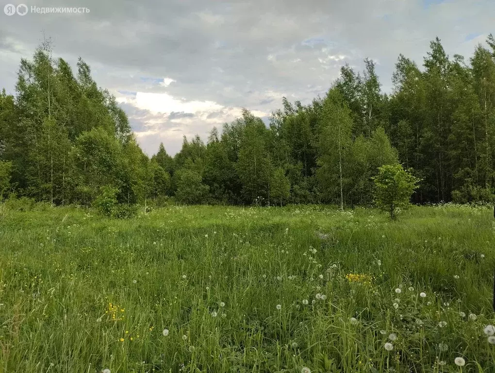 Дом в Середское сельское поселение, деревня Поддубново, Поддубновская ... - Фото 0