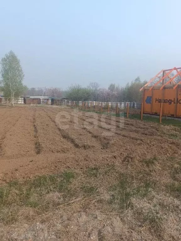 Участок в Амурская область, Благовещенский район, Медовая тер. проезд ... - Фото 1