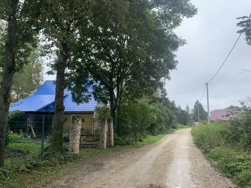 Участок в Ленинградская область, Волосовский район, Рабитицкое с/пос, ... - Фото 1