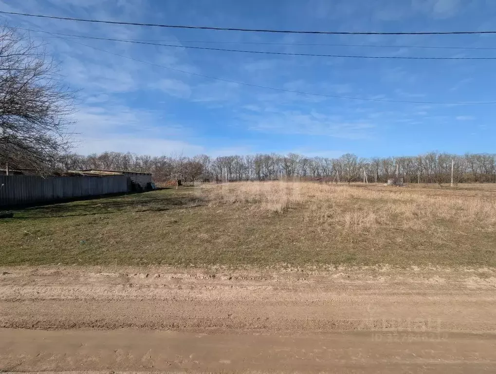 Участок в Краснодарский край, Темрюкский район, Краснострельское ... - Фото 2