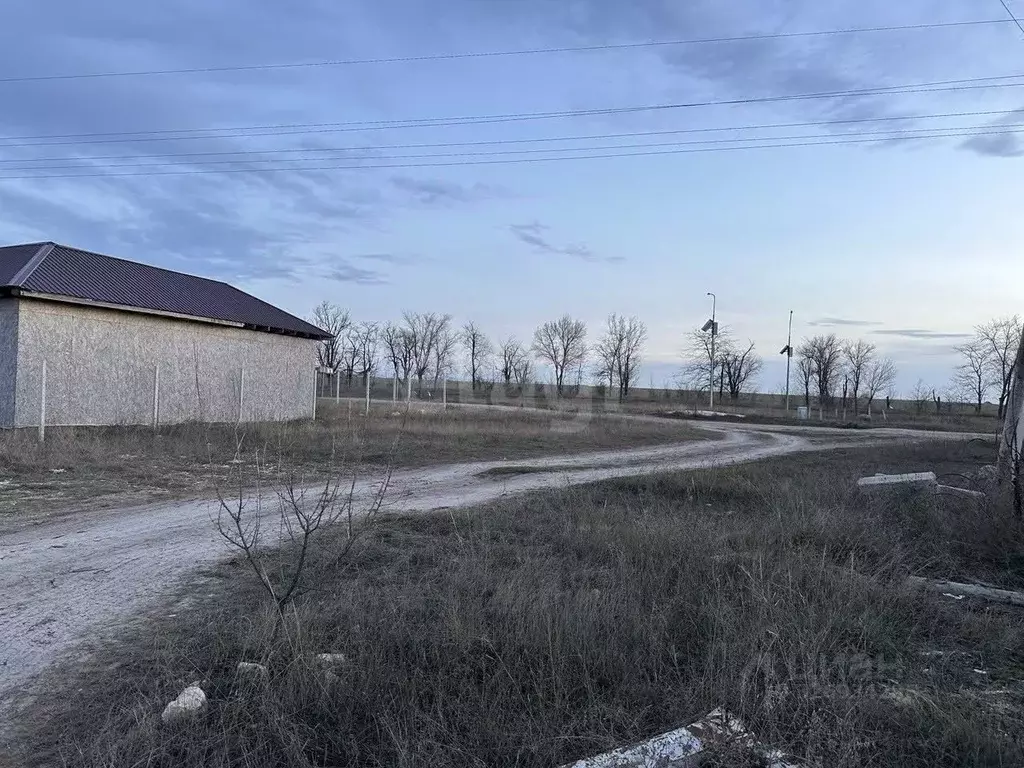 Участок в Крым, Симферопольский район, Перовское с/пос, Новозбурьевка ... - Фото 2