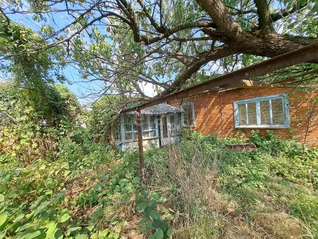 Участок в Адыгея, Майкопский район, Тимирязевское с/пос, Шунтук хут. ... - Фото 1