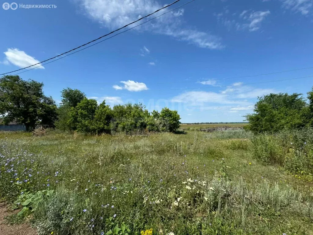 Участок в Оренбургский район, Приуральский сельсовет, село Беленовка, ... - Фото 1