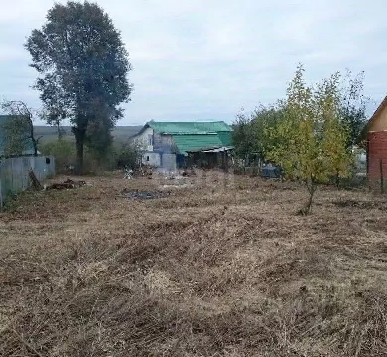 Участок в Тульская область, Киреевский район, Дедиловское с/пос, с. ... - Фото 2