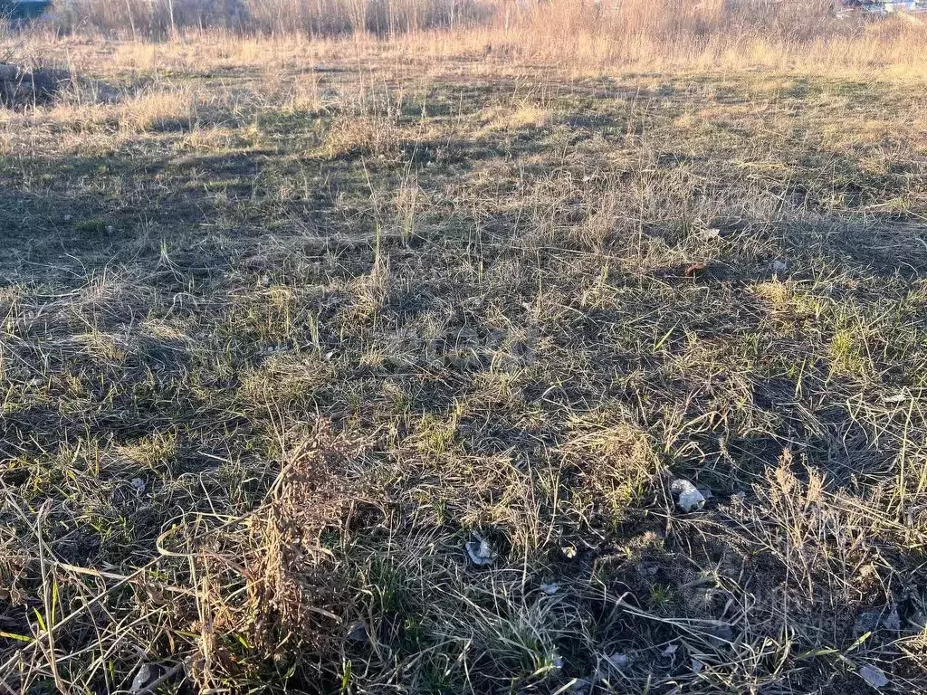 Участок в Тюменская область, Нижнетавдинский муниципальный округ, с. ... - Фото 1