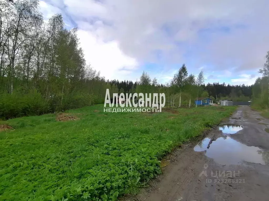 Участок в Ленинградская область, Приозерский район, Ларионовское ... - Фото 1