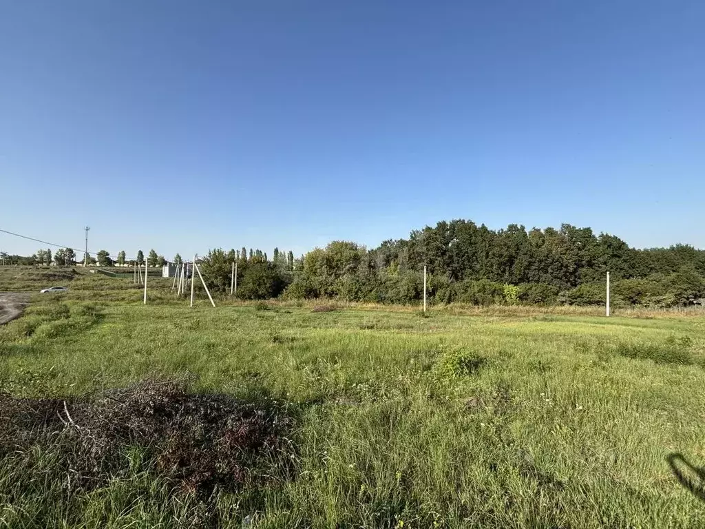 Участок в Белгородская область, Белгородский район, Дубовское с/пос, ... - Фото 1