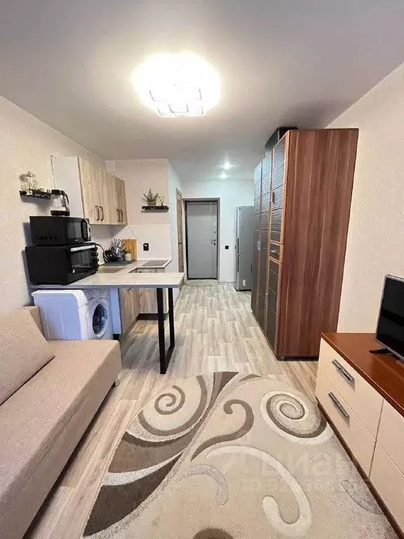 Студия Алтайский край, Барнаул ул. Антона Петрова, 197 (24.1 м) - Фото 1