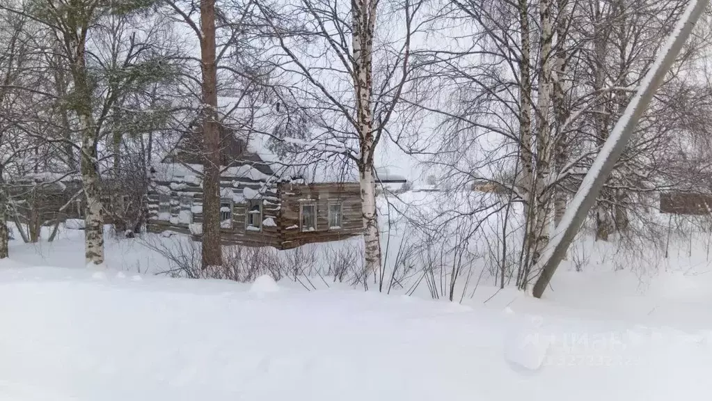 Участок в Архангельская область, Холмогорский муниципальный округ, д. ... - Фото 2