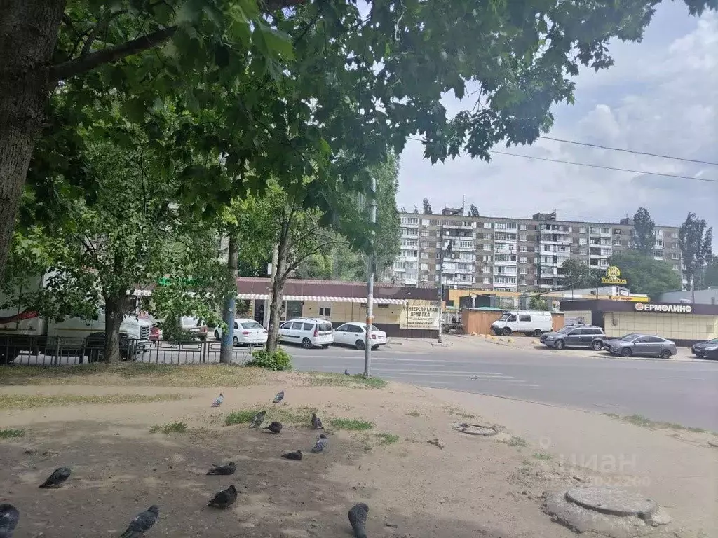 3-к кв. Воронежская область, Воронеж ул. Владимира Невского, 7 (71.5 ... - Фото 0