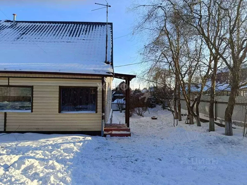 Дом в Алтайский край, Барнаул городской округ, с. Лебяжье ул. Школьная ... - Фото 1