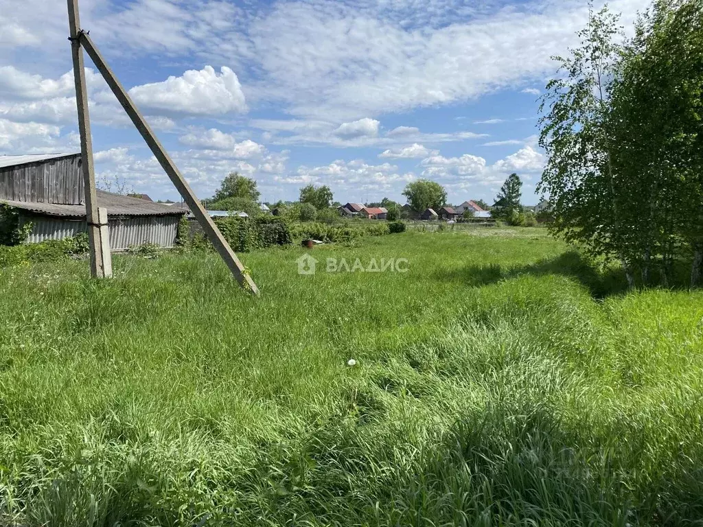 Участок в Пензенская область, с. Бессоновка ул. Бакунина, 8 (25.0 ... - Фото 1