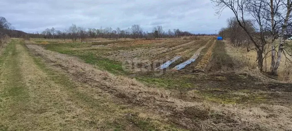 Участок в Сахалинская область, Анивский городской округ, с. Успенское  ... - Фото 1