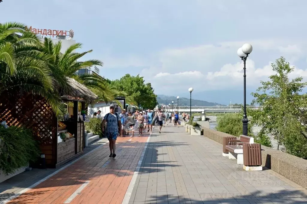 Помещение свободного назначения в Краснодарский край, Сочи ул. ... - Фото 1