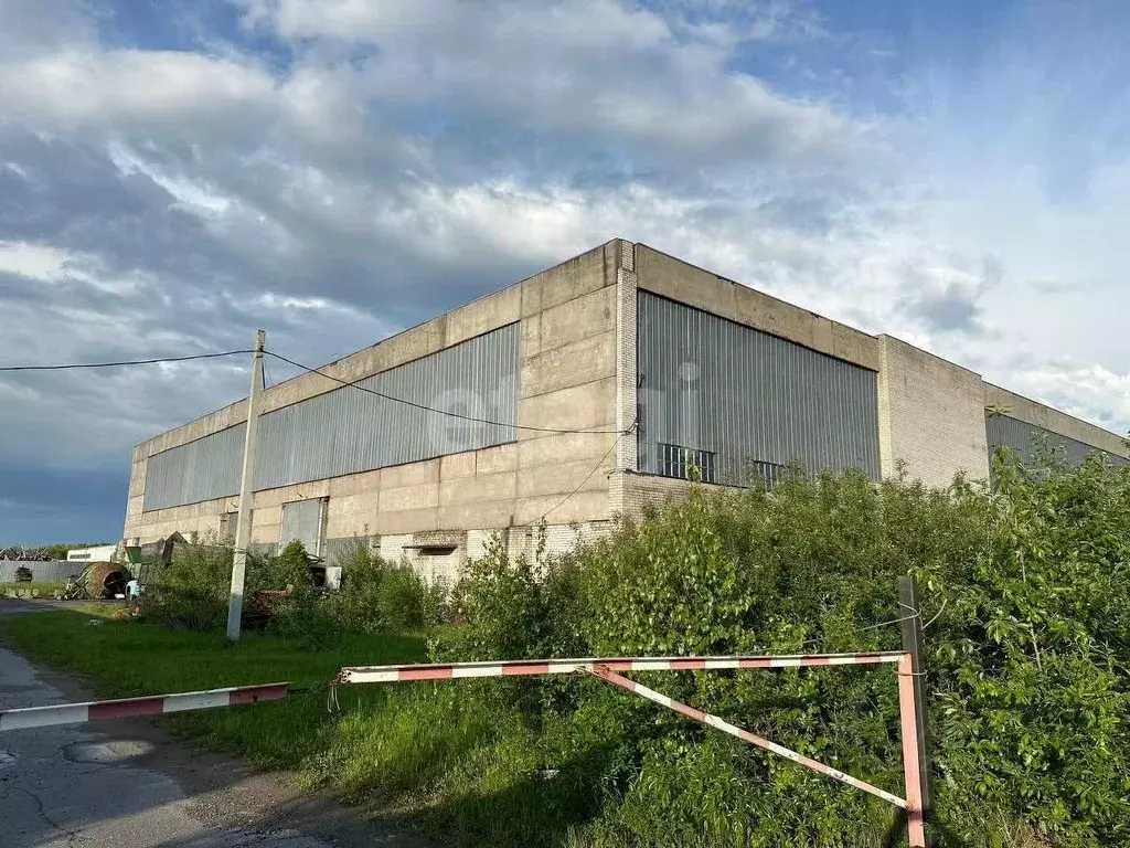 Склад в Архангельская область, Архангельск Октябрьская ул., 3к1 (5408 ... - Фото 1