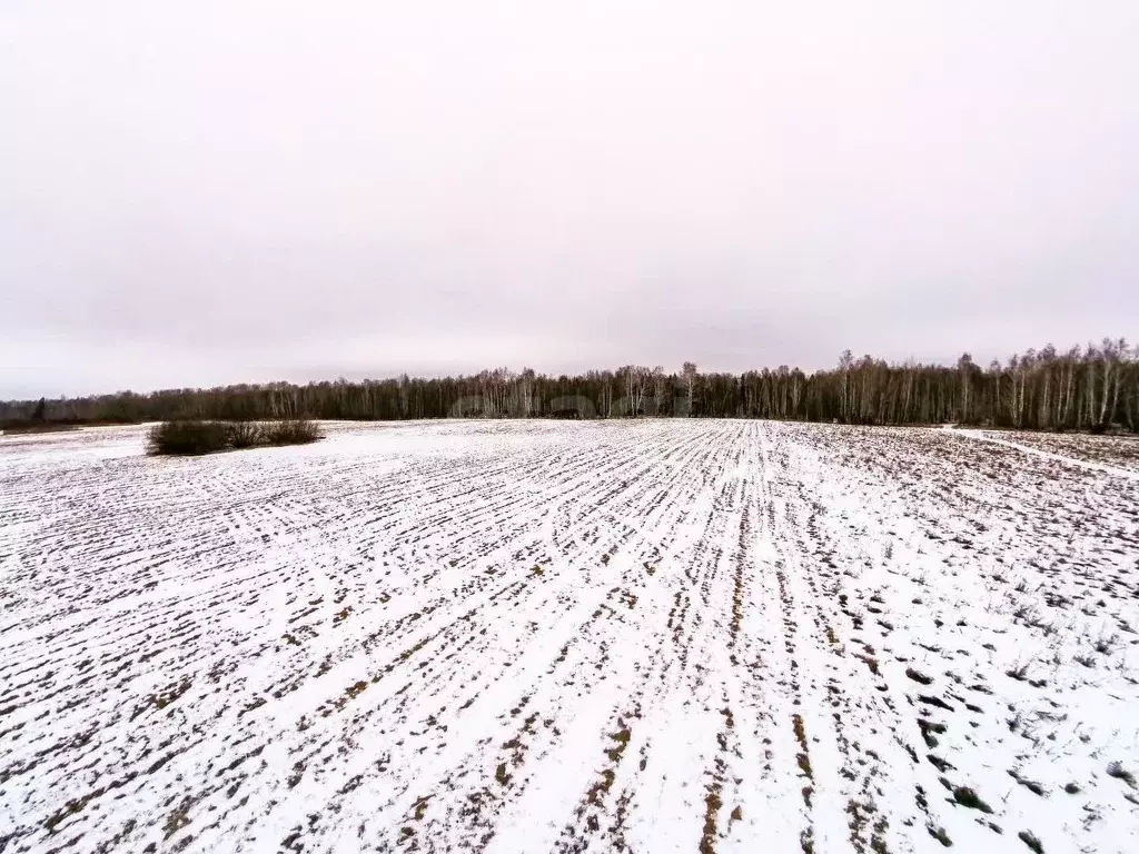 Участок в Тюменская область, Тюменский район, д. Елань  (8.14 сот.) - Фото 0