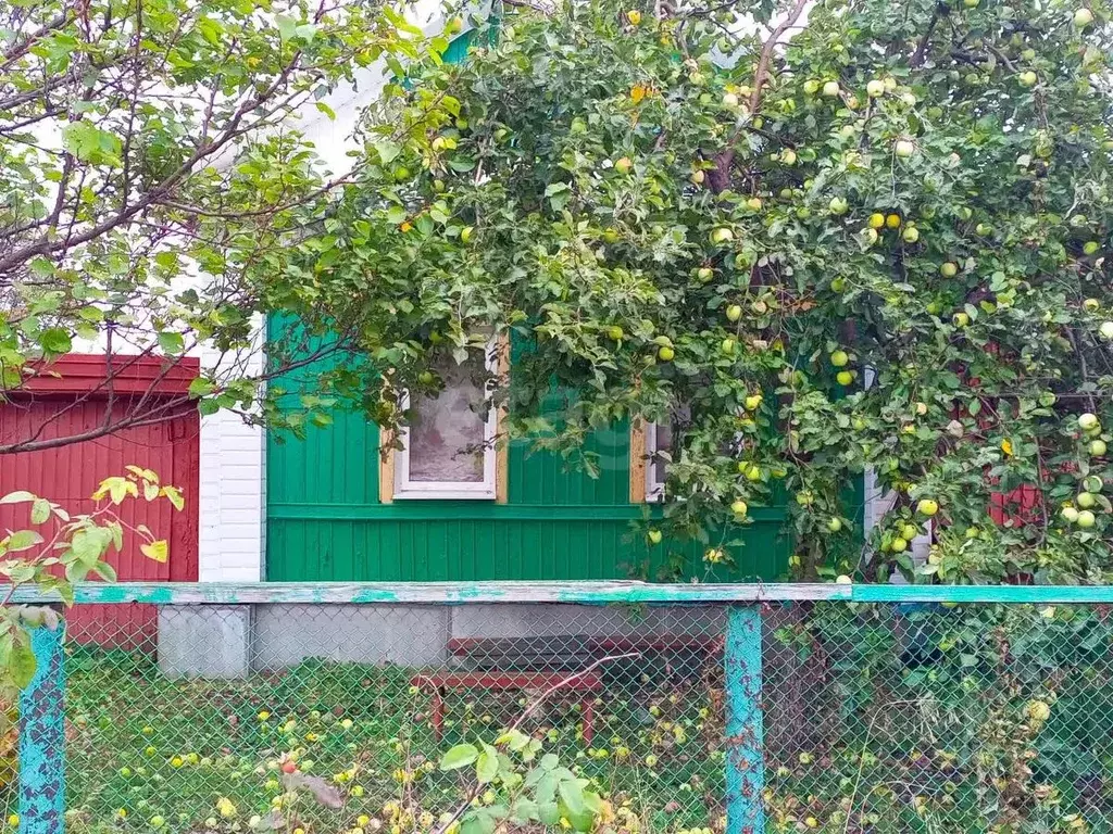 Дом в Саратовская область, Романовка рп ул. Калинина, 241 (67 м) - Фото 2