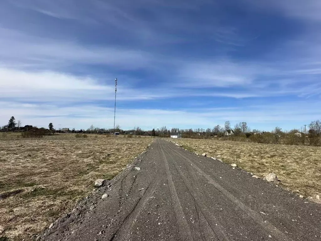 Участок в Ленинградская область, Приозерский район, Мельниковское ... - Фото 1