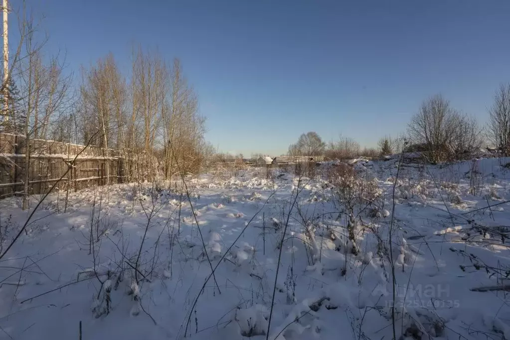 Участок в Пермский край, Пермский муниципальный округ, с. Ляды ул. ... - Фото 2