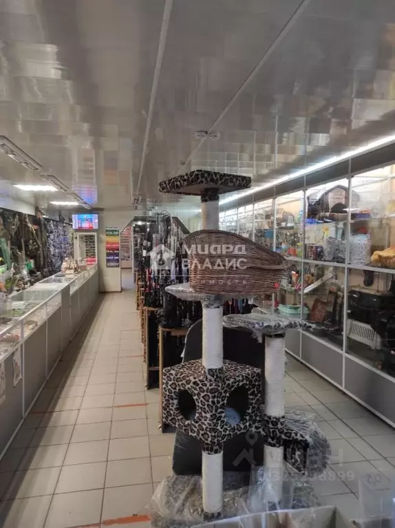 Помещение свободного назначения в Омская область, Омск бул. Победы, 10 ... - Фото 1