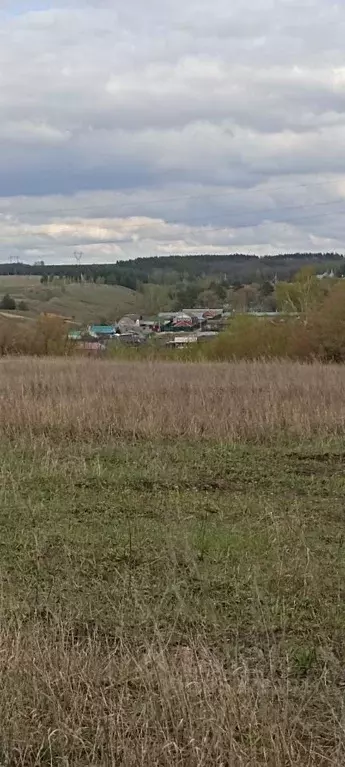 Участок в Самарская область, Красноярский район, с. Старая Бинарадка ... - Фото 2
