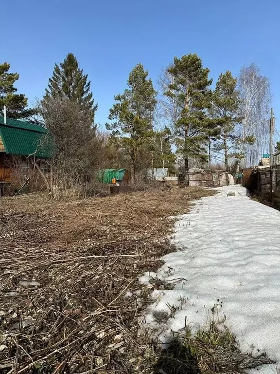 Участок в Новосибирская область, Колыванский район, Ветеран СНТ  (9.0 ... - Фото 0