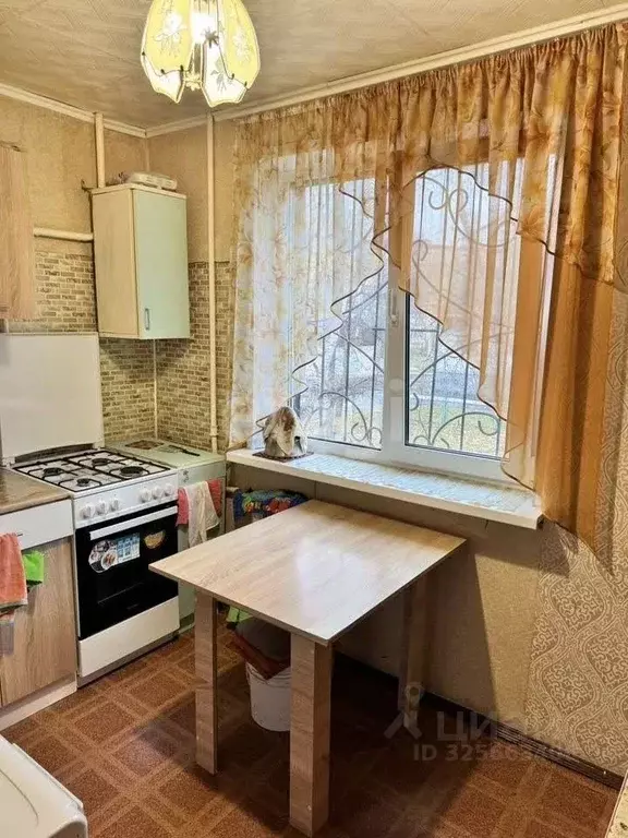 Комната Свердловская область, Екатеринбург ул. Посадская, 59 (16.2 м) - Фото 1