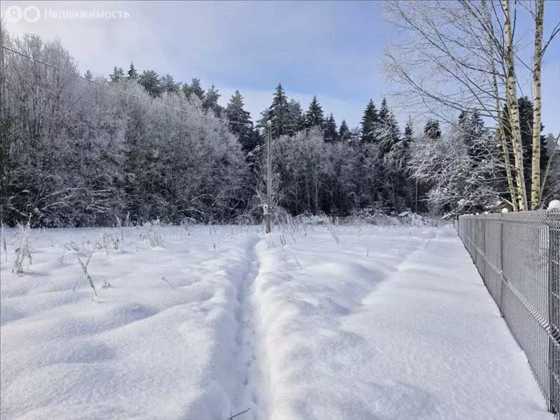 Участок в деревня Новосиверская, Елисеевская улица (14.6 м) - Фото 1