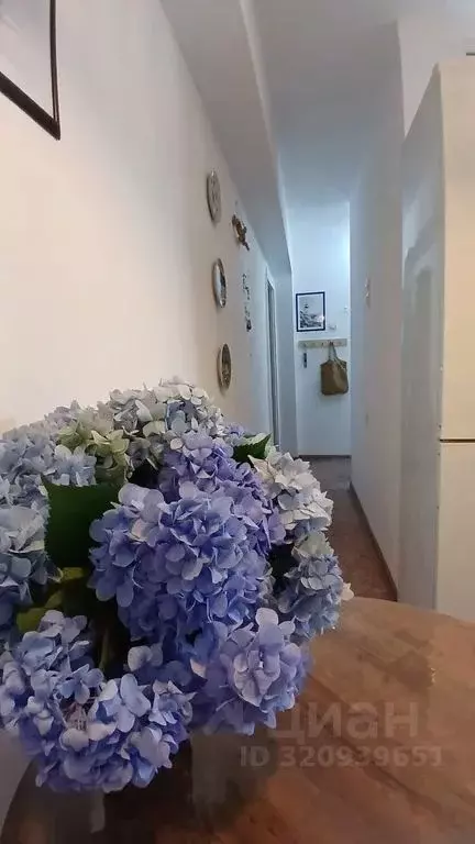 2-к кв. Краснодарский край, Сочи Мацестинская Долина мкр, ул. ... - Фото 1