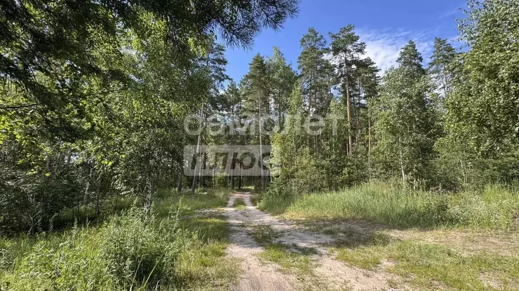 Дом в Марий Эл, Волжск Заря СТ,  (20 м) - Фото 2