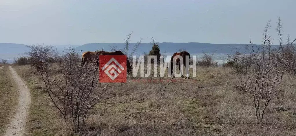 Участок в Крым, Бахчисарай 9-й мкр,  (6.0 сот.) - Фото 1