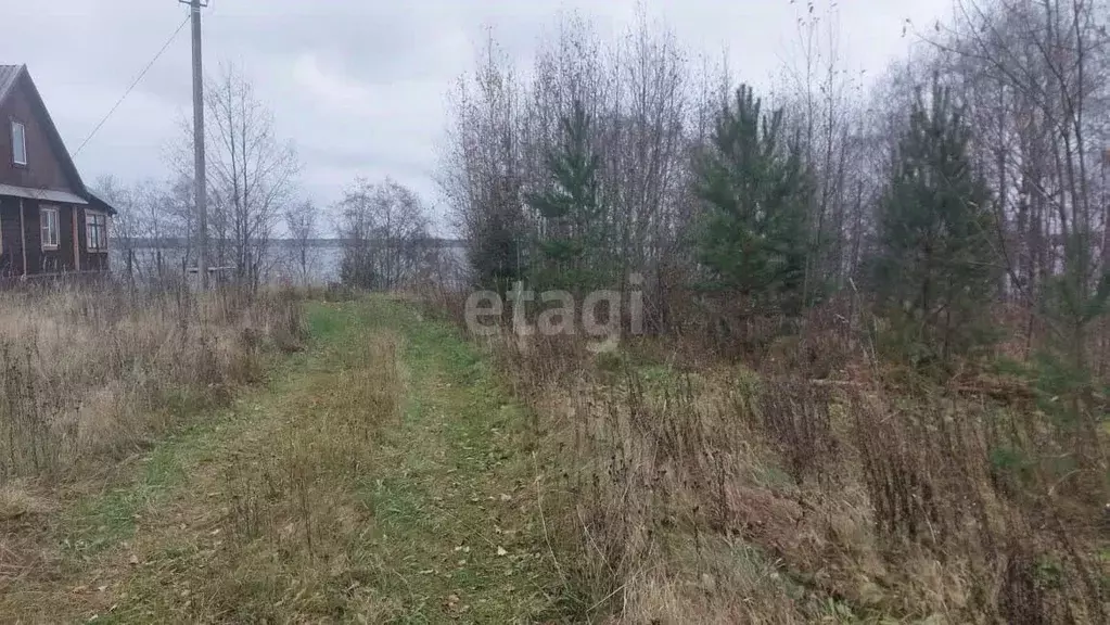 Участок в Вологодская область, Белозерский муниципальный округ, д. ... - Фото 1