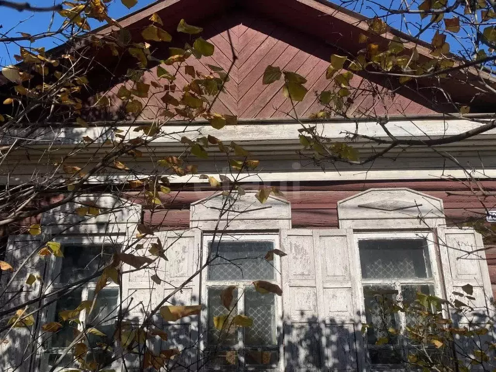 Дом в Амурская область, Благовещенск Высокая ул., 203 (41 м) - Фото 1