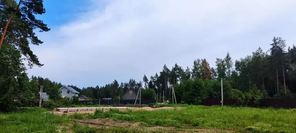 Участок в Московская область, Богородский городской округ, д. Аборино  ... - Фото 0