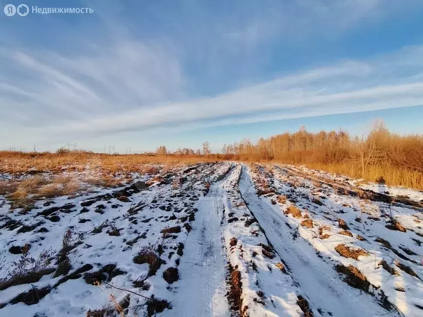 Участок в Тюменский район, село Борки (14.5 м) - Фото 1