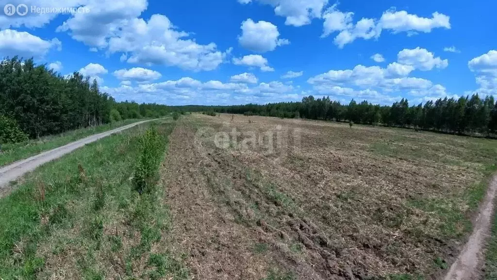 Участок в Тюменский муниципальный округ, деревня Чаплык (10 м) - Фото 2