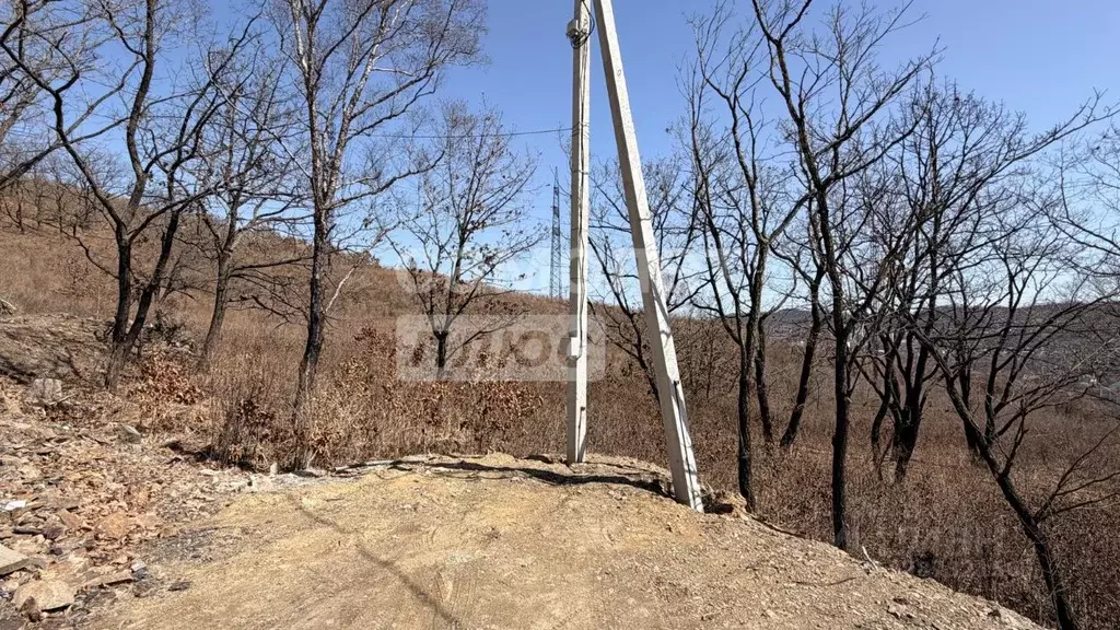 Участок в Приморский край, Находка Звезда СНТ, ул. Коперника (14.0 ... - Фото 1