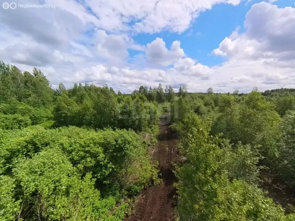 Участок в Нижнетавдинский район, СТ Здоровье-3, 3 (10.6 м) - Фото 1