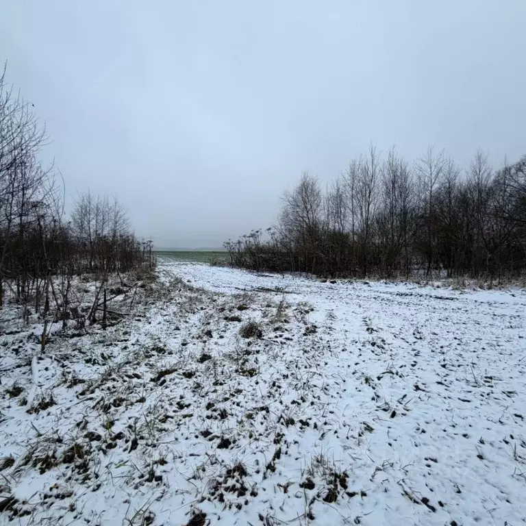 Участок в Тверская область, Конаковский муниципальный округ, д. Ручьи  ... - Фото 2