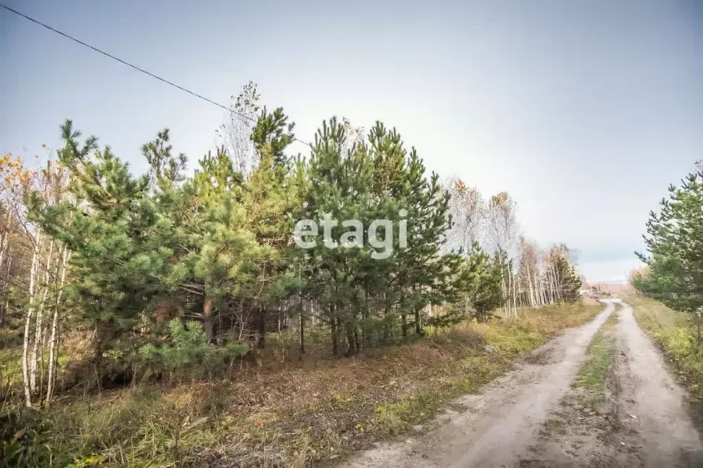 Участок в Новосибирская область, Искитимский район, Город-Сад ДНП ул. ... - Фото 1