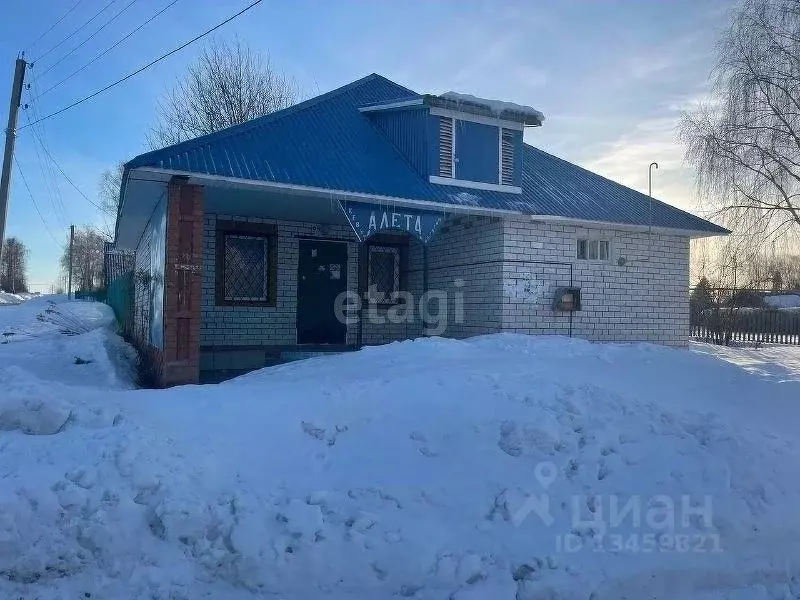 Помещение свободного назначения в Марий Эл, Новоторъяльский район, с. ... - Фото 0