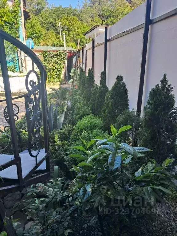 Комната Краснодарский край, Геленджик городской округ, Бетта хут. - Фото 2