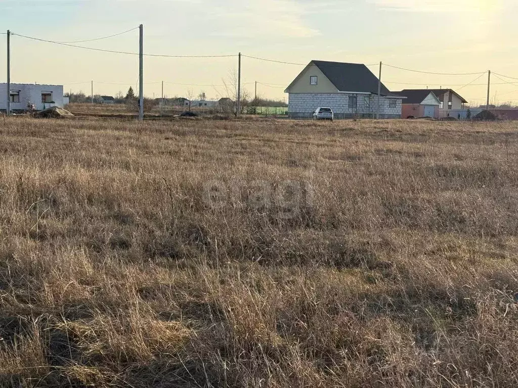 Участок в Воронежская область, Каширский район, Дзержинское с/пос, ... - Фото 1