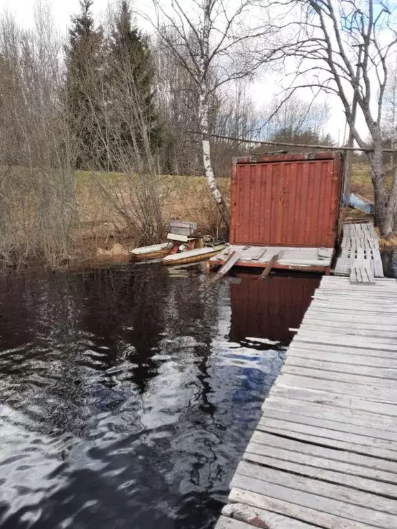 Участок в Новгородская область, Любытинский район, д. Красная Гора  ... - Фото 1