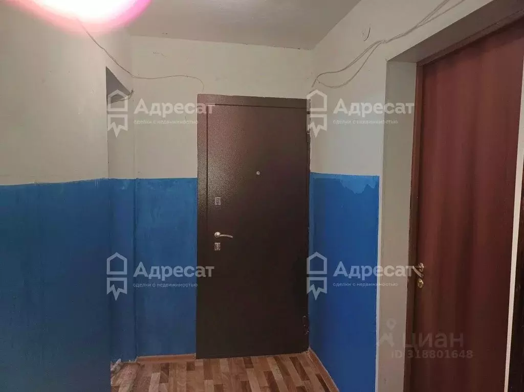 Комната Волгоградская область, Волгоград ул. Жолудева, 20А (17.0 м) - Фото 0